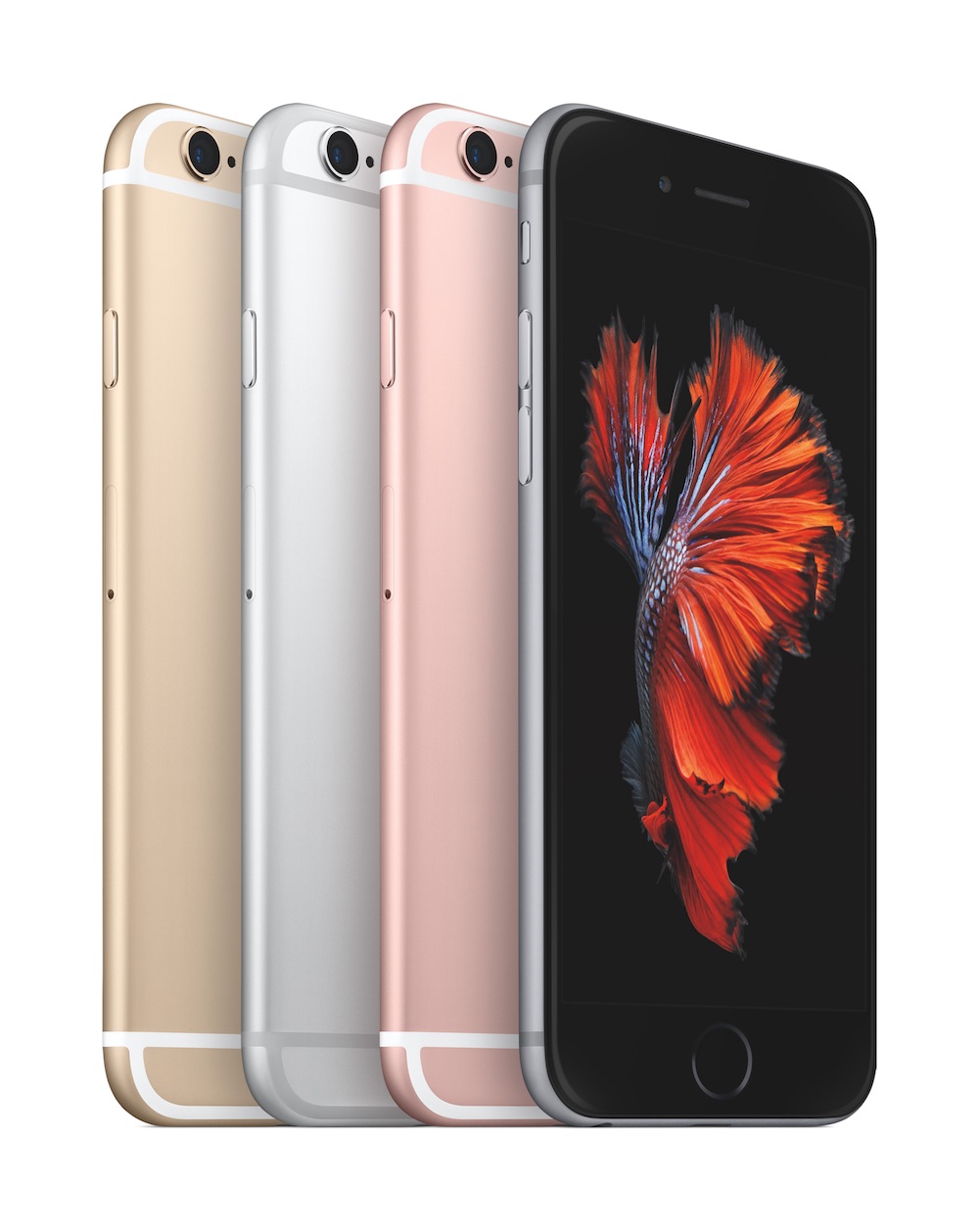 Apple iPhone 6 / 6s Accessories